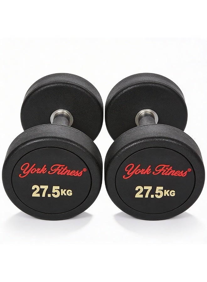 York DZLG11 27.5 kg Round Rubber Coated Dumbbell - Image 2
